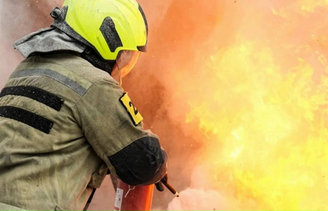 В Старом Петергофе горели четыре гаража
Спасателям п...