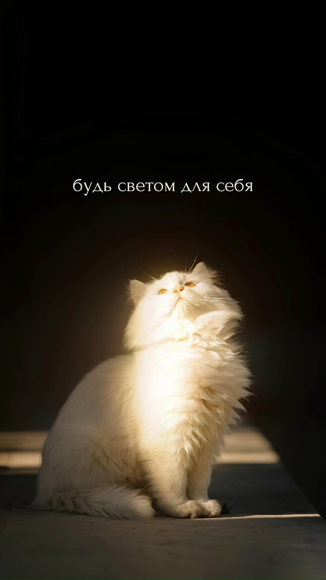 Возможно тебе это сейчас нужно ❤️