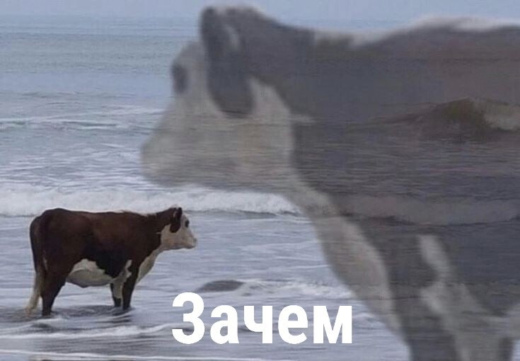 Человеки научились превращать навоз в воду
Изобретатель создал и запатентовал способ очистки сточны