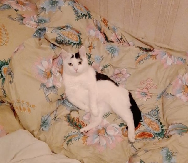 Тимофей ♥️ желает всем приятных снов 😘