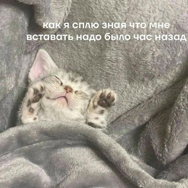 Всем утро!🌤