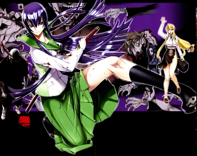Сеттинг: Школа мертвецов / Highschool of the Dead
Автор: satou shouji