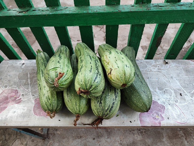 Продам яблоки 200₽ ведро. Вишню 250₽ ведро. Кабачки 30₽ за...