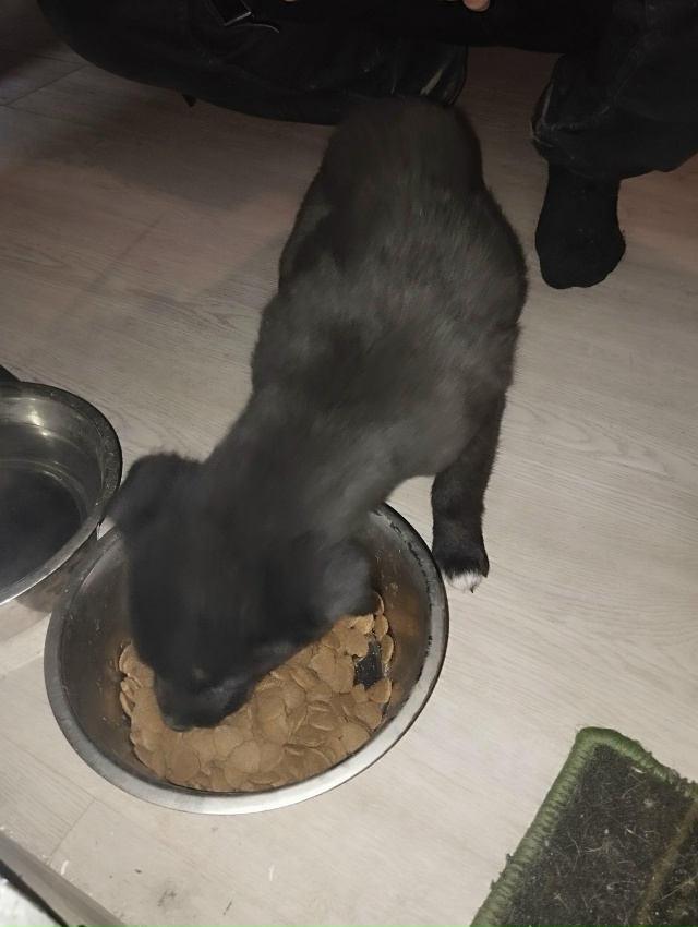 или передержку!Неравнодушные люди не смогли мимо прой?...