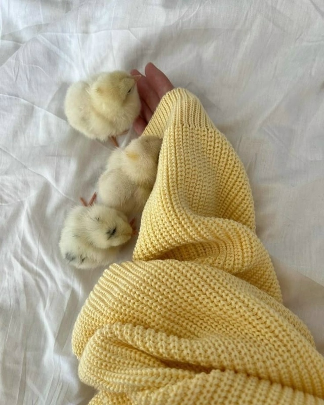 Как только человеку удаётся изменить взгляд на обстоя?...