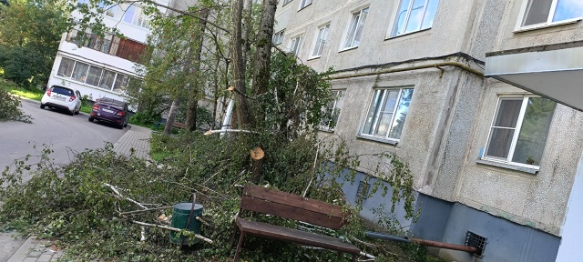 Спасибо степе за мусор который устроил, спасибо админи...