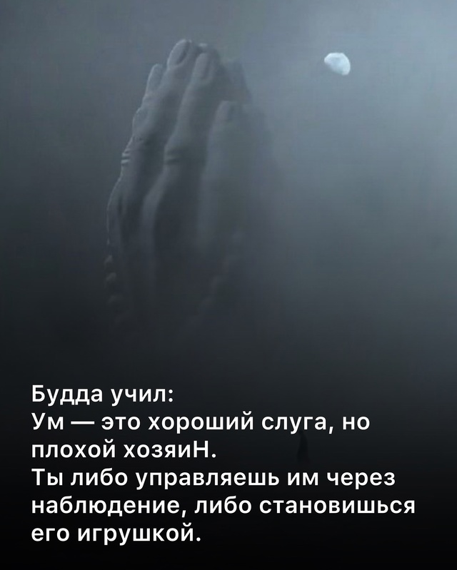 Прекрасное напоминание и заземление ❤🙌