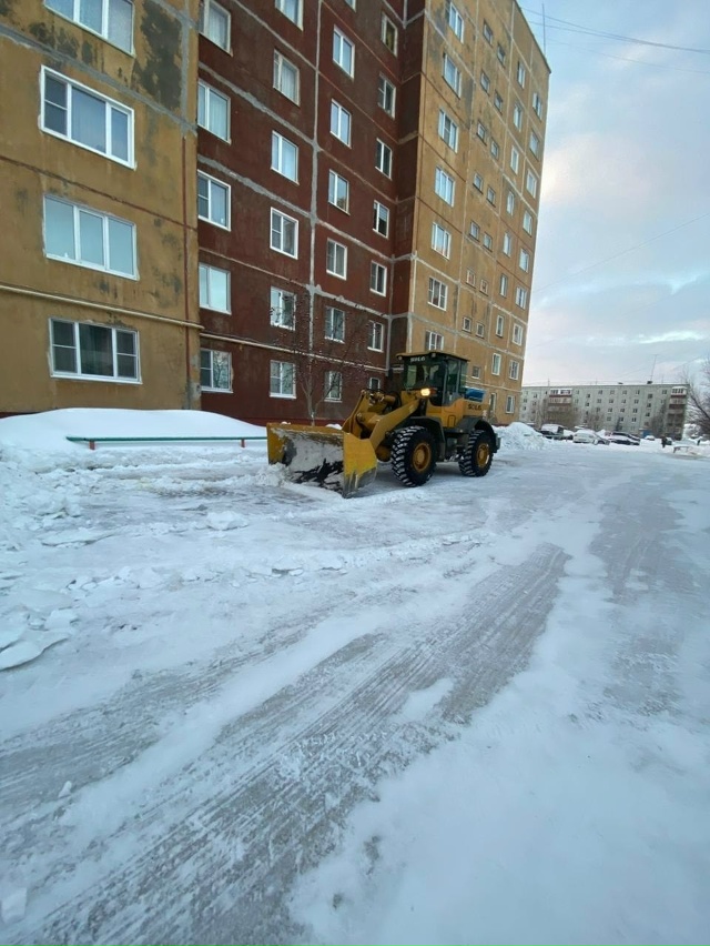 В первые дни календарной зимы погода испытывала нас на...