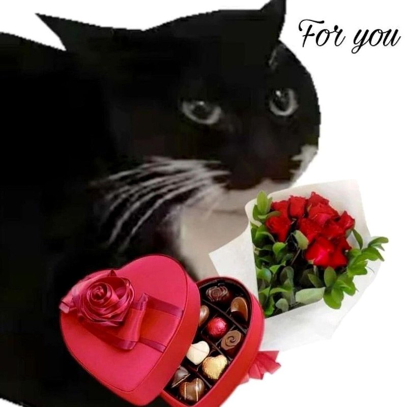 Парни сегодня типо: