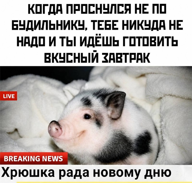 каждый день летом:
