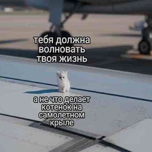 Ночная подборочка
Спать, режим