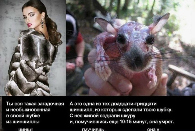 Им сдирают шкуры заживо, они еще долго и мучительно уми...