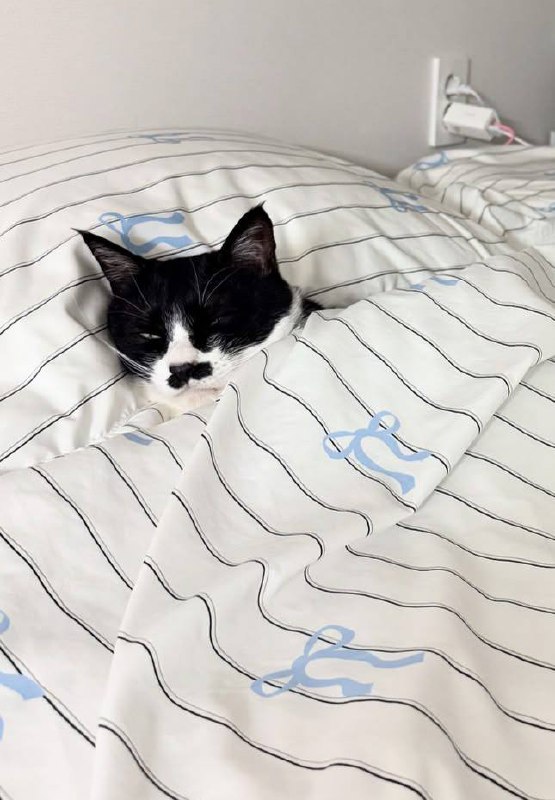 Наконец-то споть :3