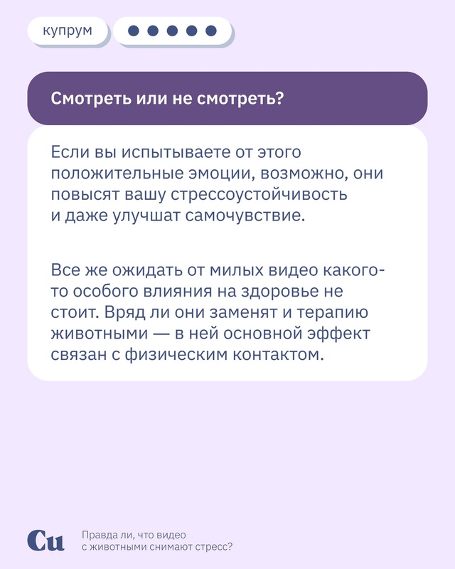 🐶🐱 «Ну какая прелесть! Какой хорошенький!»
А что вам ...