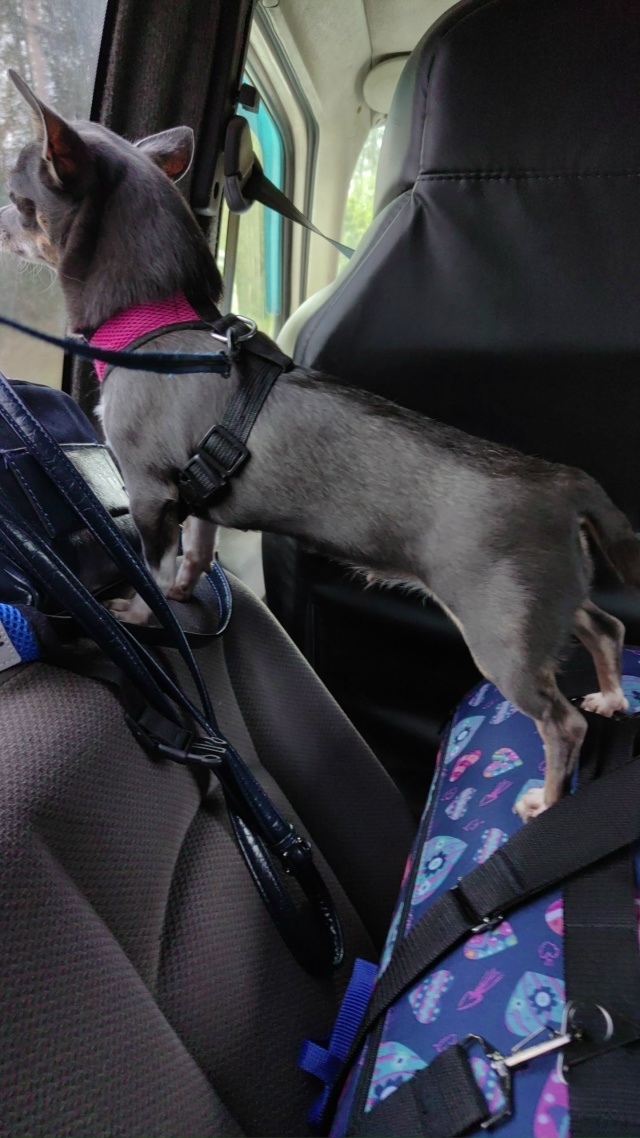 Очень прошу администратора , в очередной раз 🙏 , опубл?...