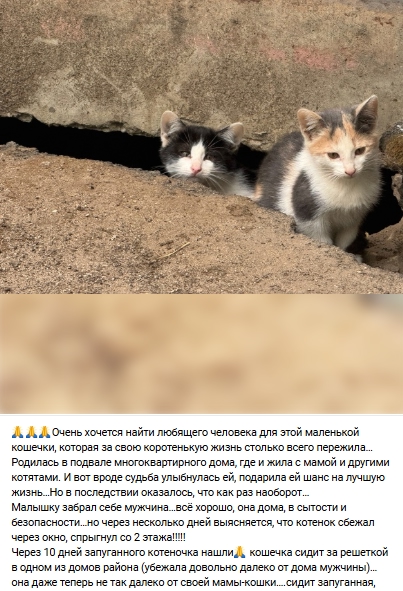 Пост добра. Распространите, пожалуйста.
СРОЧНО! По то?...