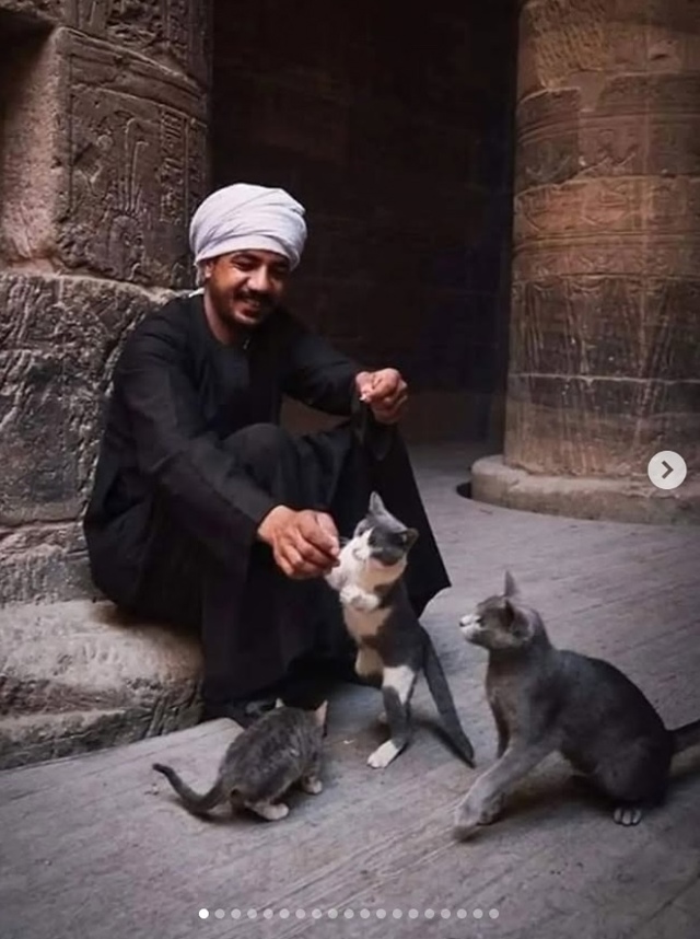 В Древнем Египте кошка была не просто домашним животны...