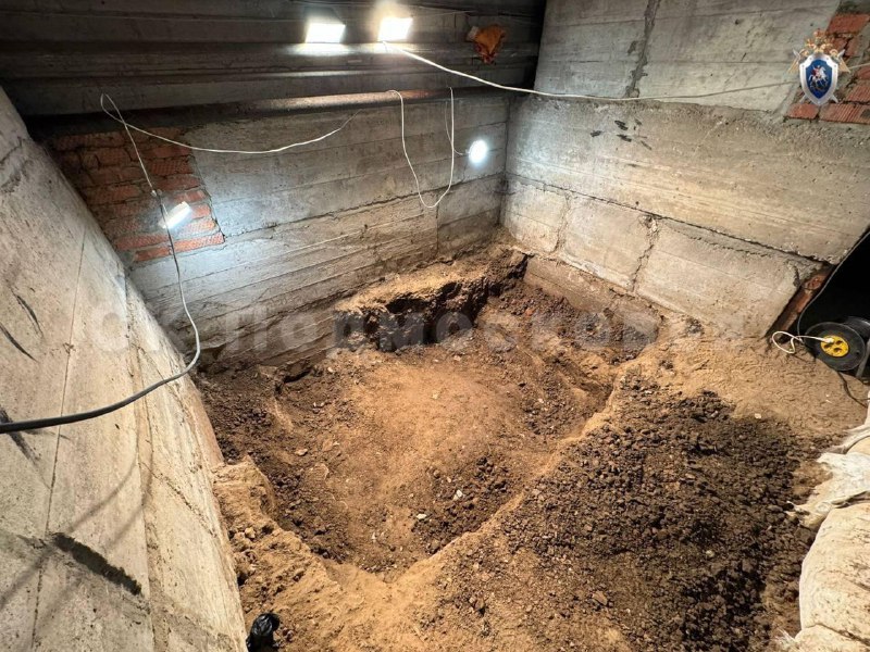 В Подмосковье отчим убил 8-летнюю падчерицу за просьбу дать еды. Тело девочки нашли в подвале дома с