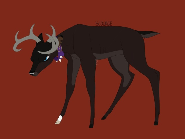 Эмо-Олень 🖤 По-прежнему с фирменным фиолетовым ошейни...