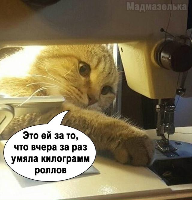 Какой коварный план)