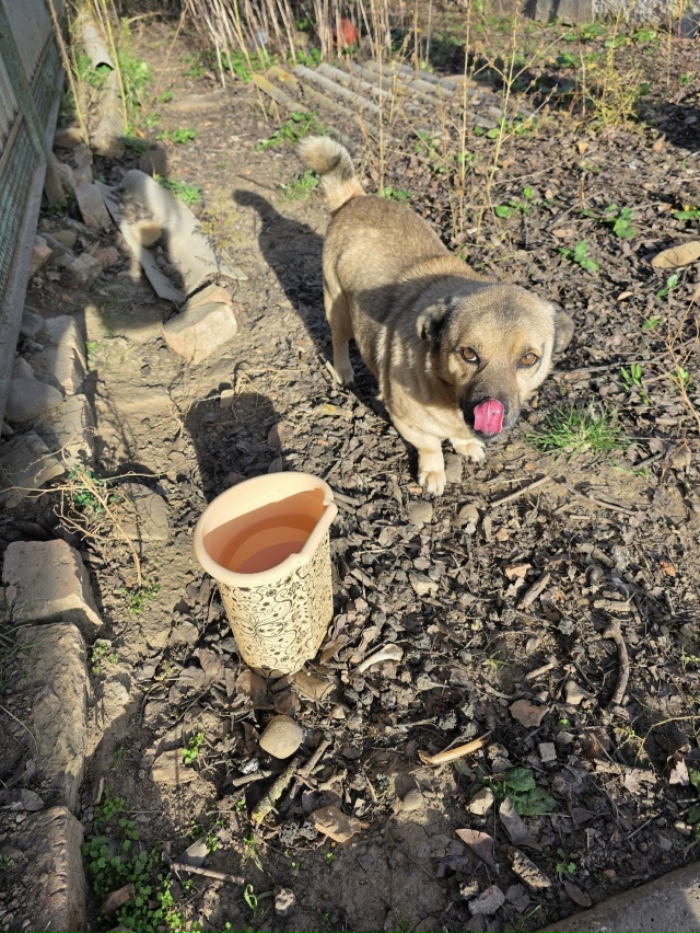 У кого есть возможность и желание - нужна помощь!!! Бабу?...