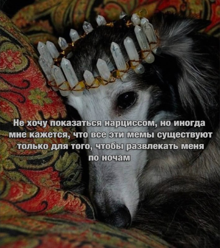 Ночная подборочка
Спать, режим