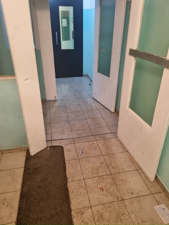 Светлая 11. Уже не знаю сколько такие полы