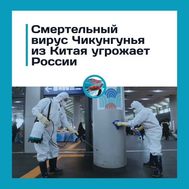 Вирус Чикунгунья из Китая может добраться до России
В ...