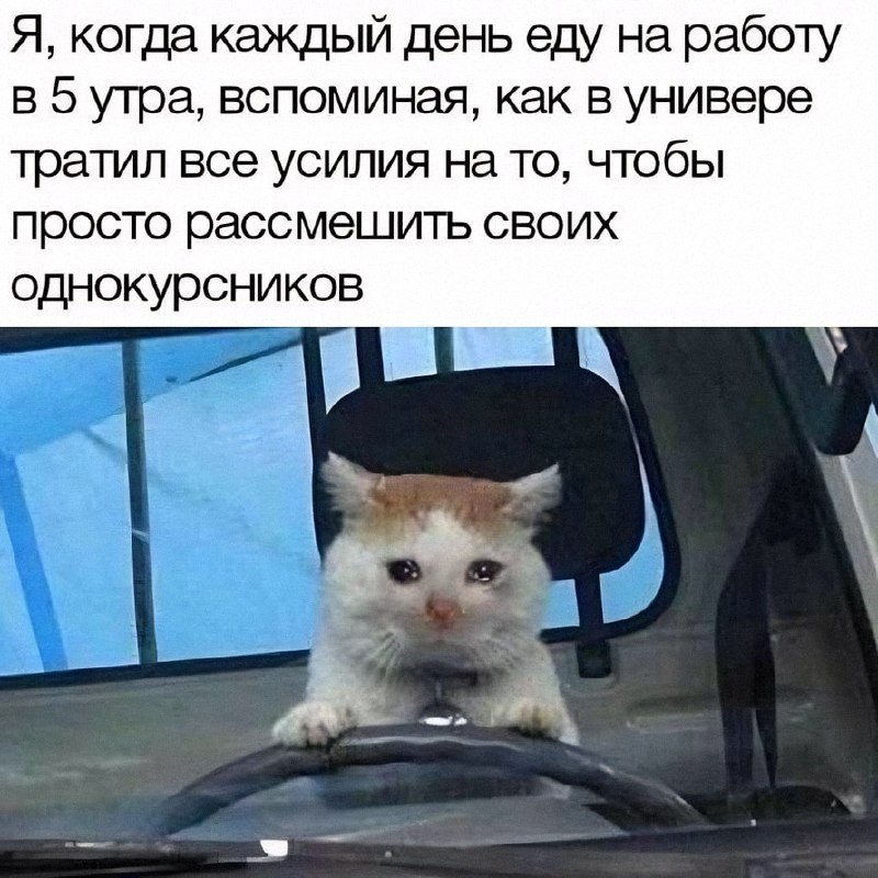 Утренняя подборочка