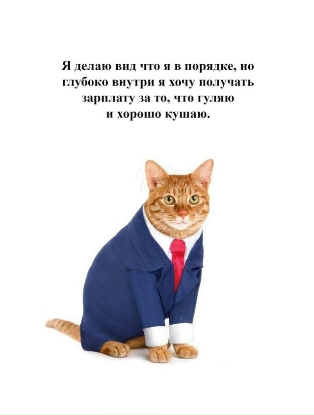 Простые мечты в рабочий день