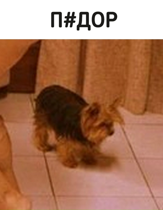 Инсайдер рассказал, что OpenAI зарезервировали себе 40% от ...