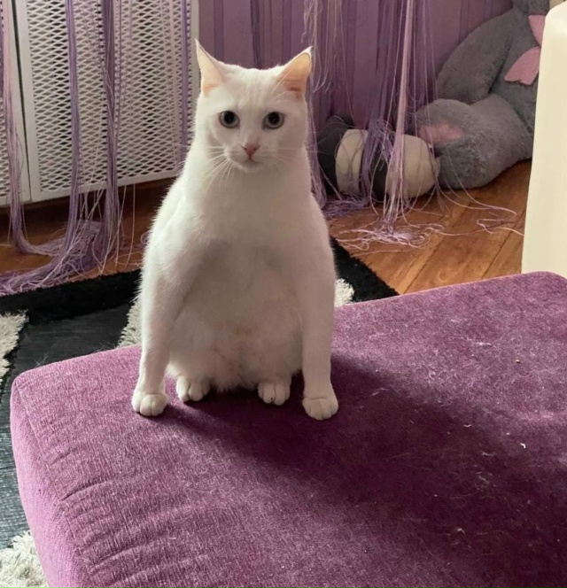 Ну альфонс настоящий