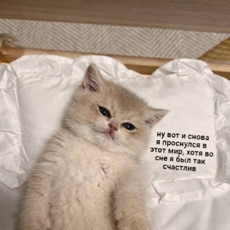 Утренняя подборочка