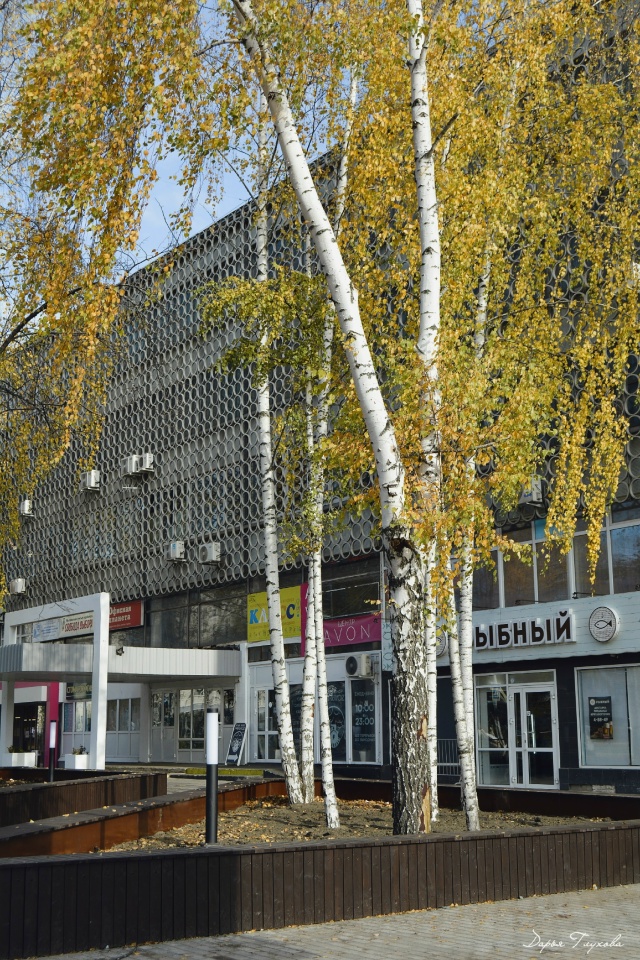 Задумка хорошая. Лавочки будут использовать по прямом?...