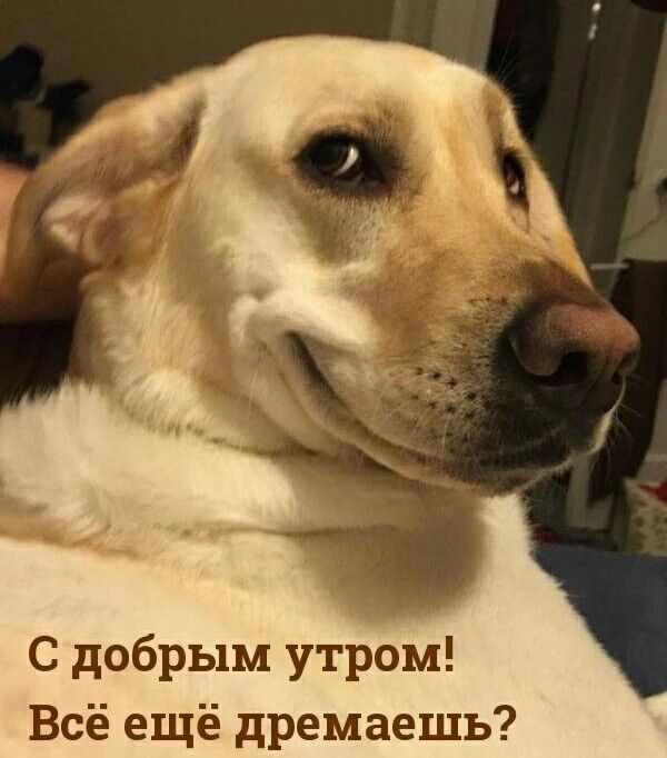 Ну сегодня еще можно и подольше))