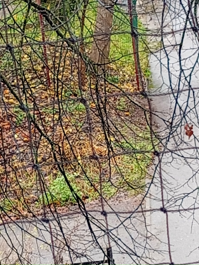 Вот такая уборка сегодня прошла по улице Тоси Петровой...