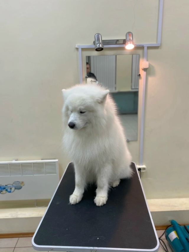 Доброго времени суток!✨
Меня зовут Вероника.
Я дипло?...