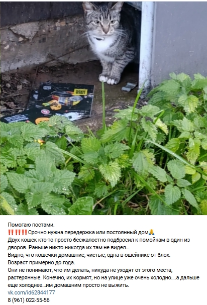 Пост добра. Распространите, пожалуйста.