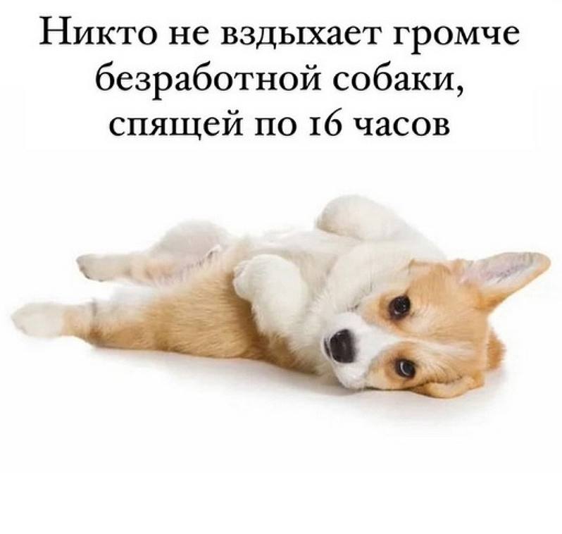 кем я хочу стать: