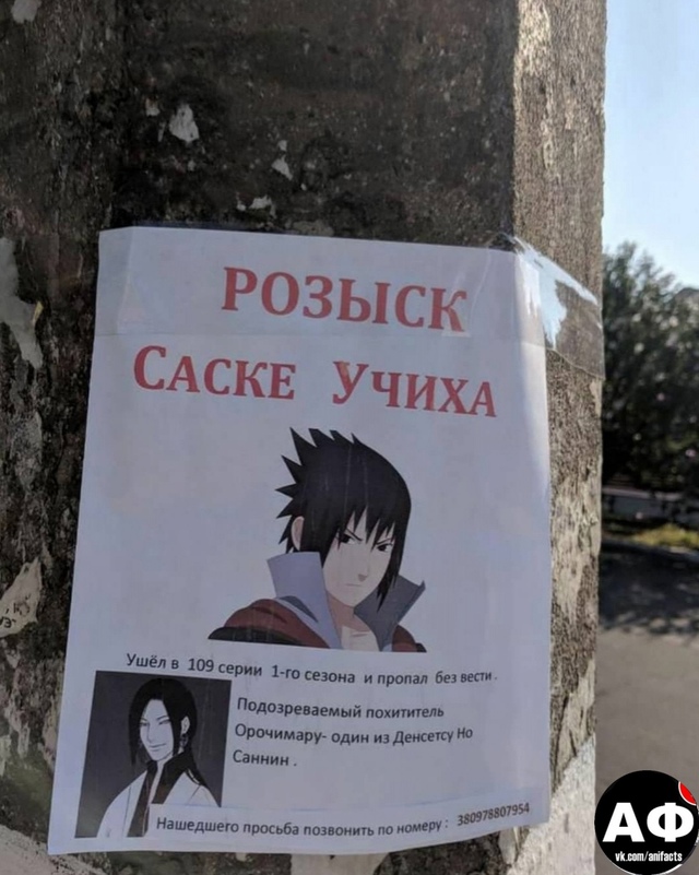 аниме факты