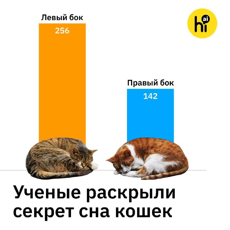 🐱 Две трети кошек спят на левом боку. Почему?
Нейропсихологи провели необычное исследование: провер