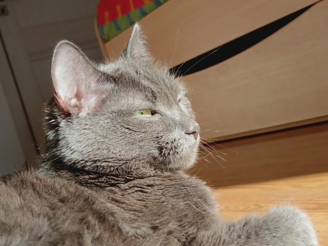 Мой малыш ❤️❤️❤️