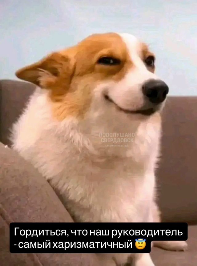 Вся жизнь Свердловчан в мемах 🙂