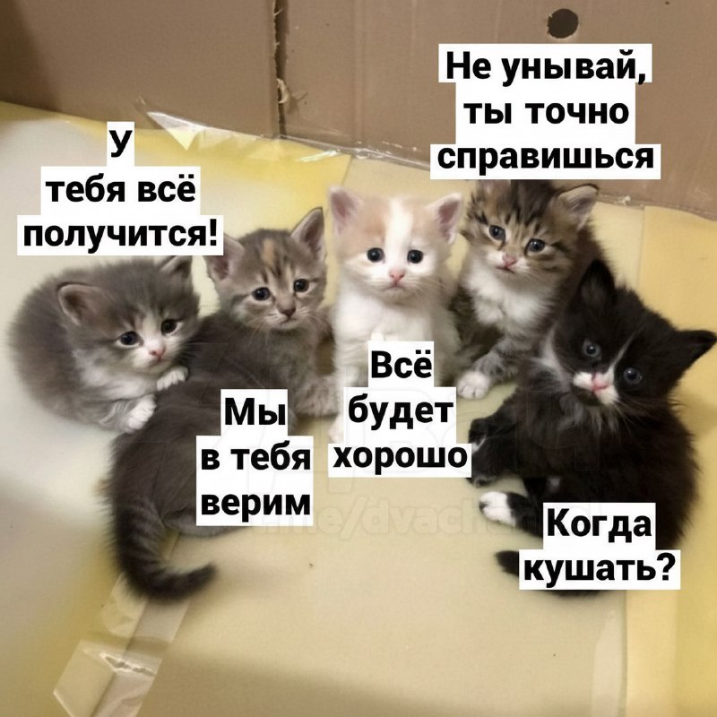 Сегодня отмечается День счастливчика по жизни
Буквально твой день