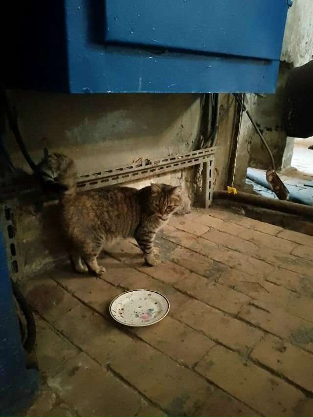 День выдался не из легких, решил вам даже пост накатать...