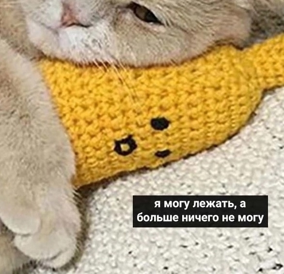 Саш, помоги