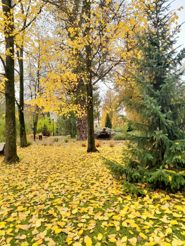 Осень в Карякинском саду ❤️
📷 Елена Михайлова