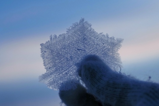 Ледяные узоры Мурманской области 💙
Фото: Ольга Липи?...