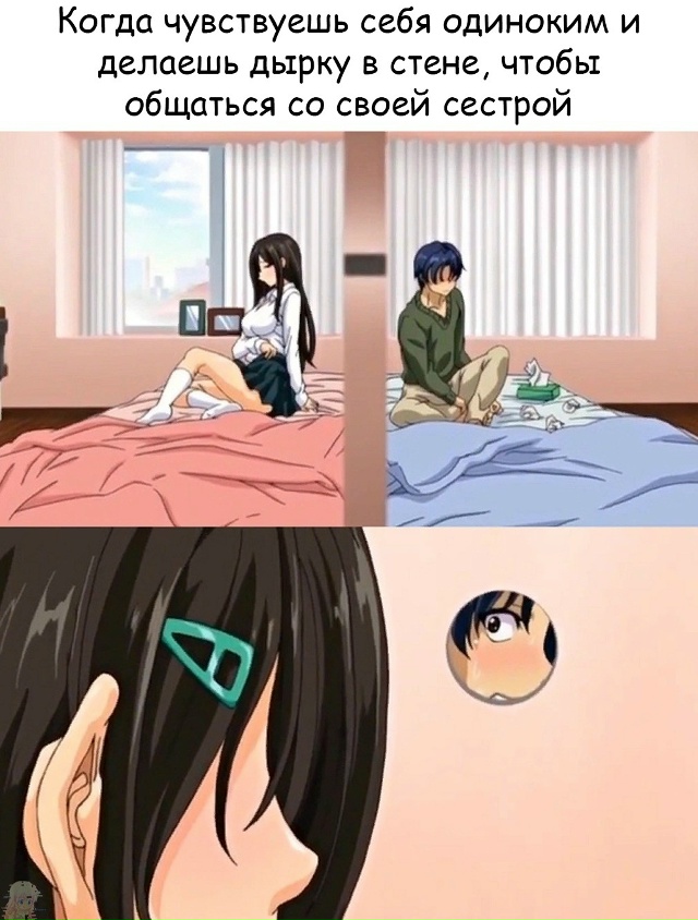 #что_за_аниме