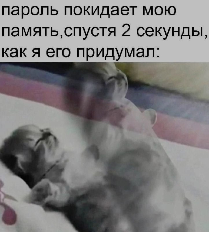 Ночная подборочка
Спать, режим